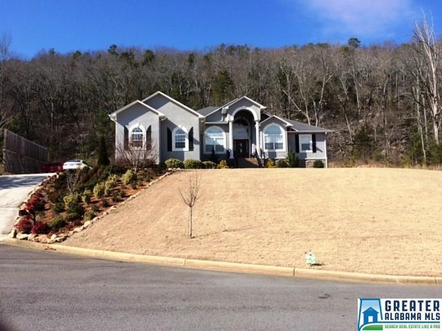176 Mountain Ln - Photo 1