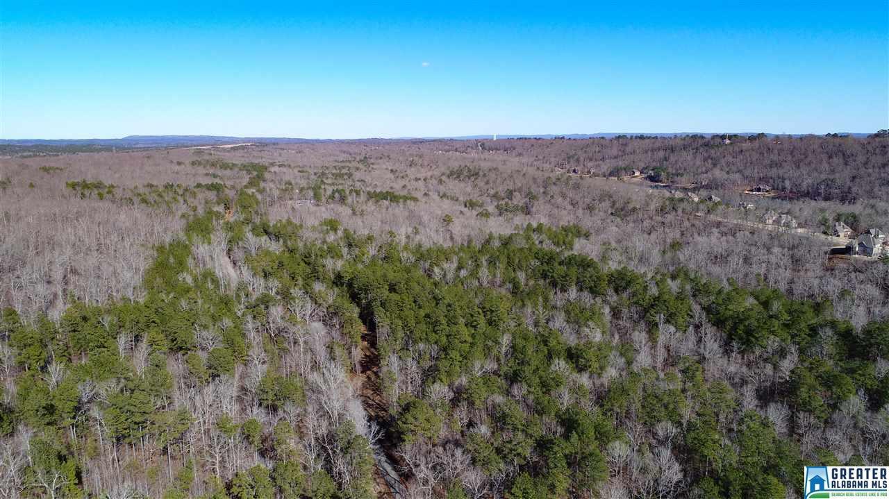 3659 Mcclendon Chapel Rd - Photo 1