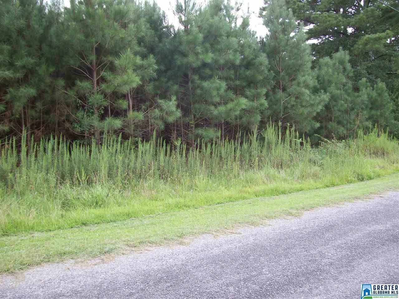 0000 Co Rd 192 - Photo 1