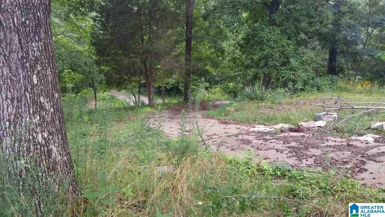 2005 Forest Glen Rd - Photo 1
