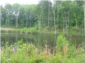 0 Brookhaven Dr - Photo 1