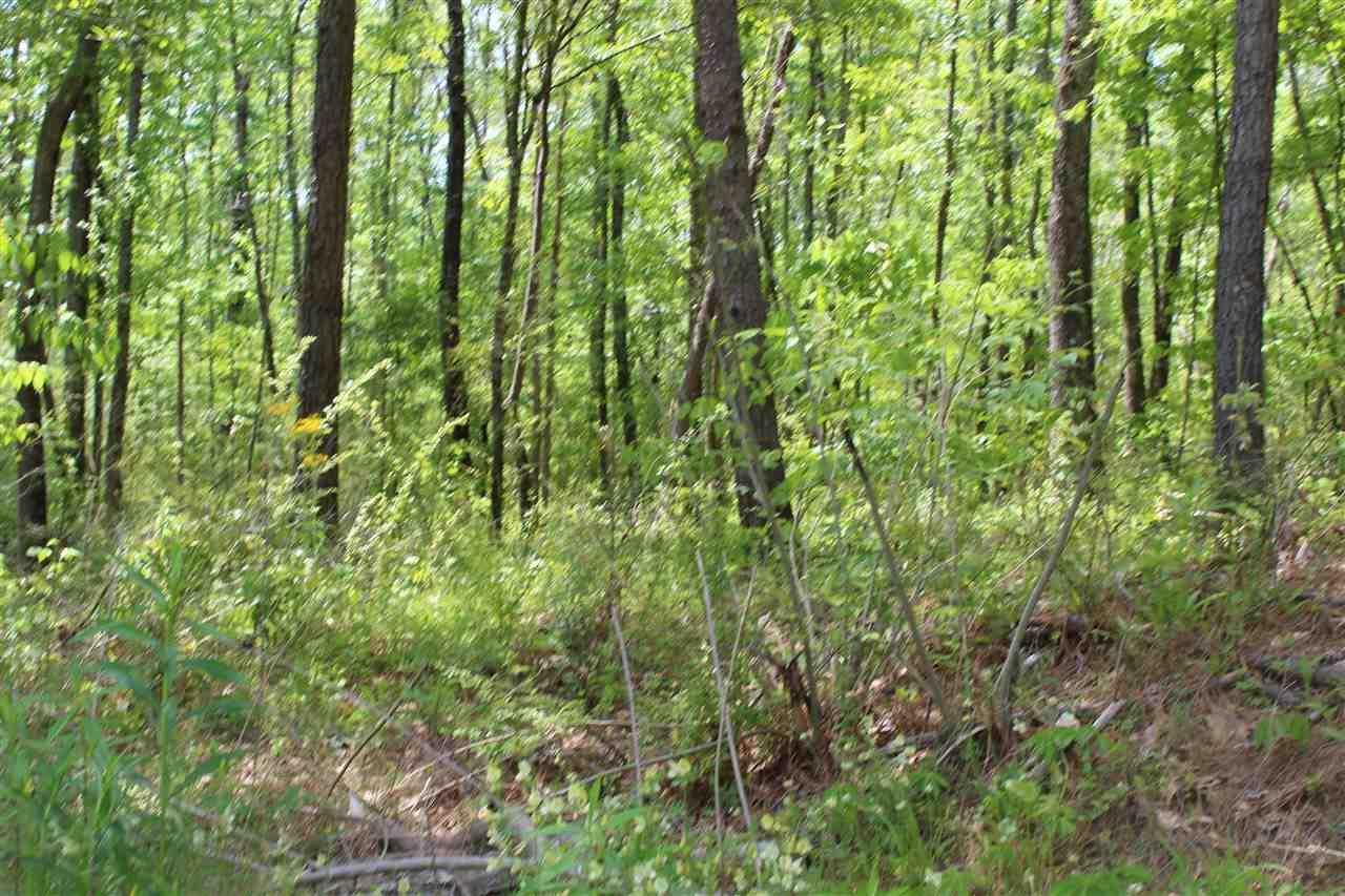 8013 Cedar Mountain Rd - Photo 1