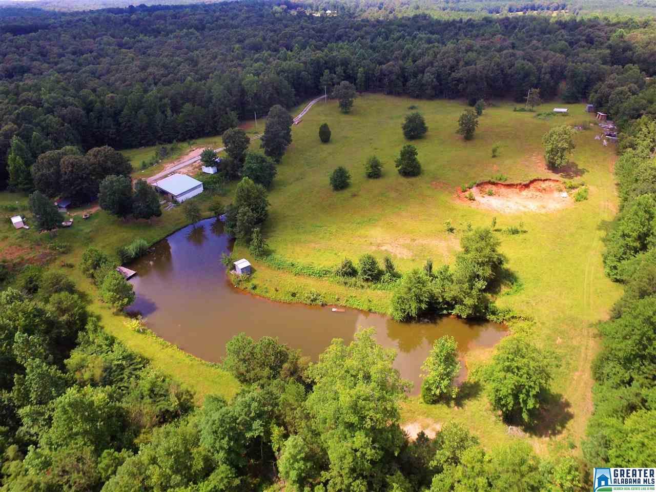 950 Co Rd 478 - Photo 1