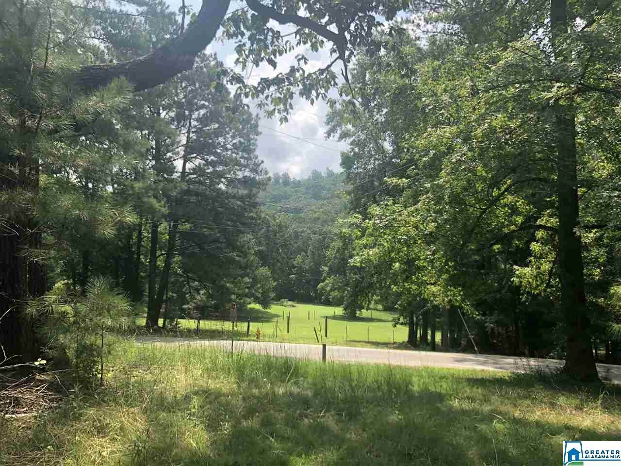8346 Cedar Mountain Rd - Photo 1