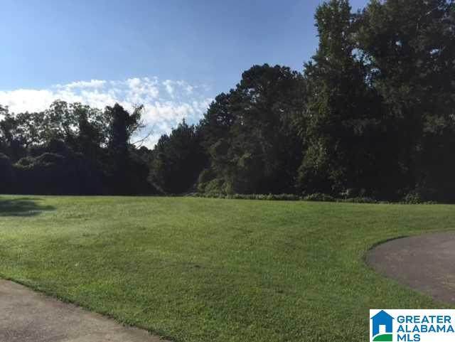 145 Nelsie Ann Drive - Photo 1