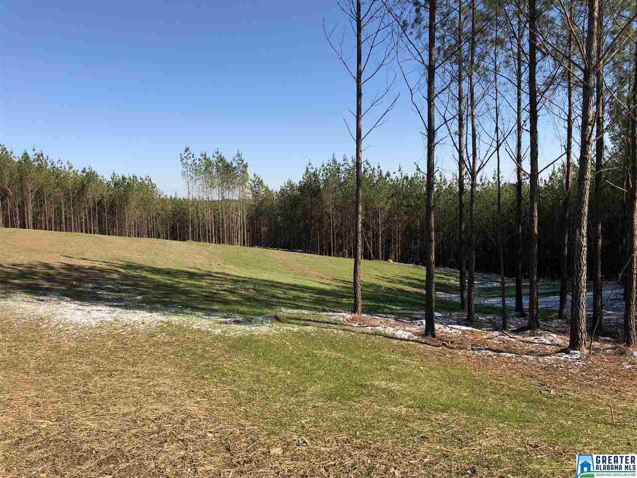 631 Hwy 69 - Photo 1