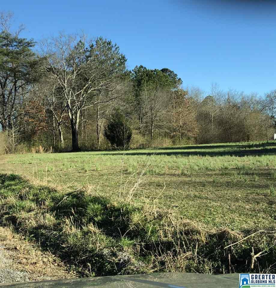 5964-A Whitehouse Rd - Photo 1