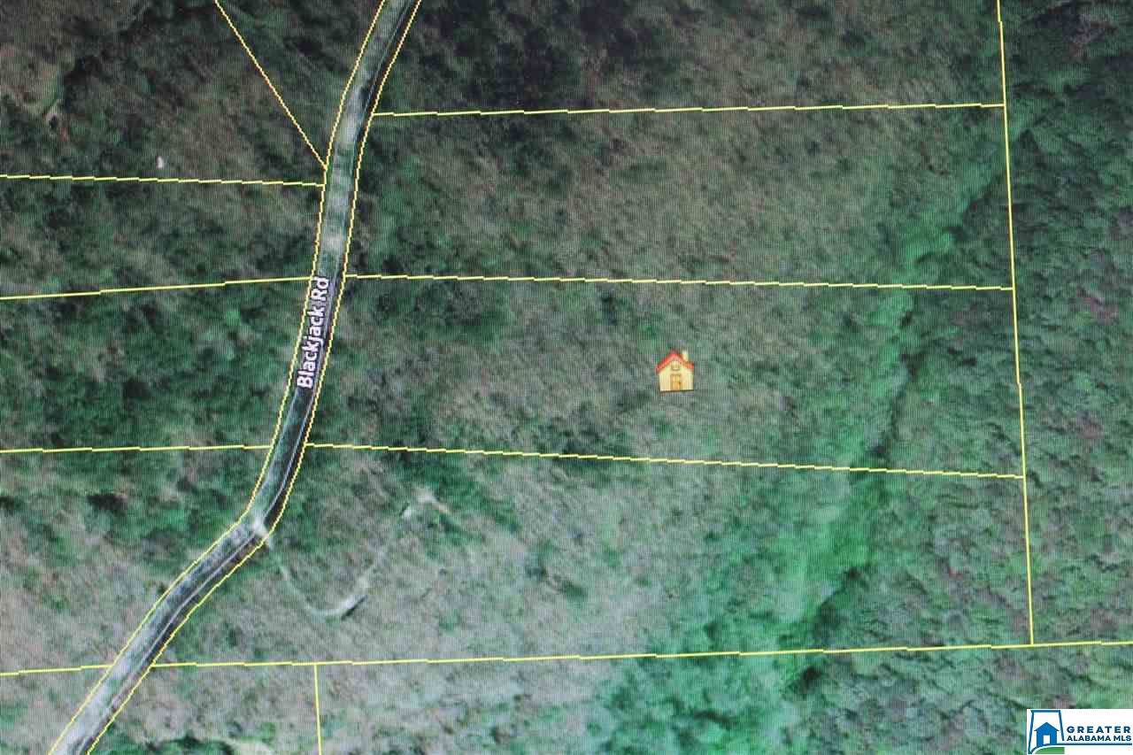 2833 Blackjack Rd - Photo 1