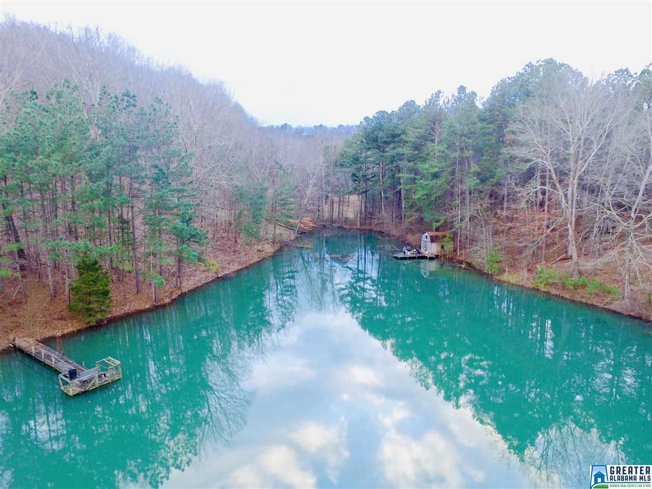 490 Co Rd 698 - Photo 1