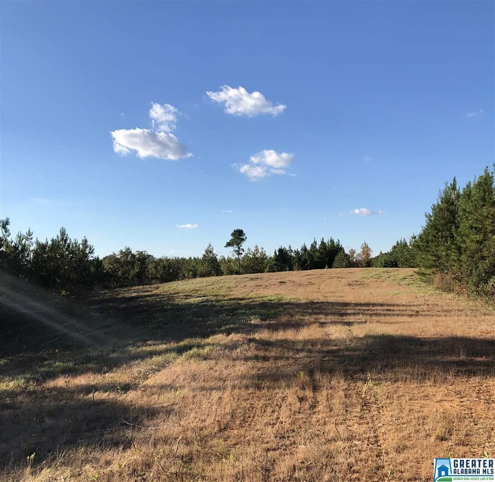 28380 Hwy 183 - Photo 1