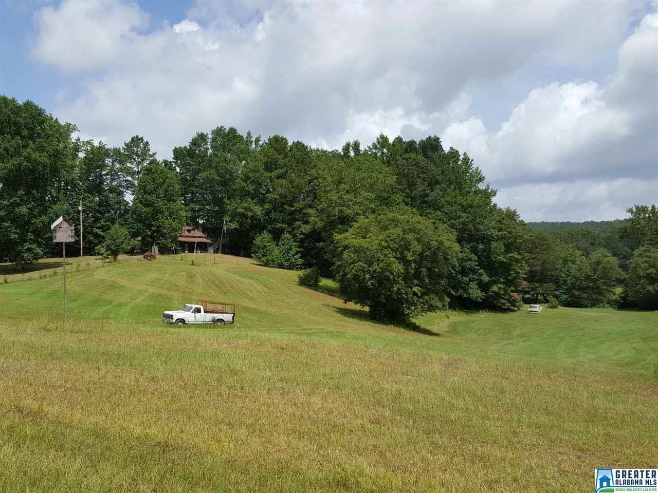 4295 Chapman Rd - Photo 1