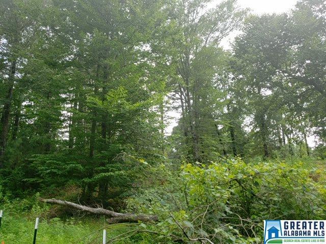 86 Jewell Rd - Photo 1