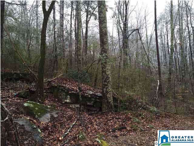 5449 Bull Run Dr - Photo 1