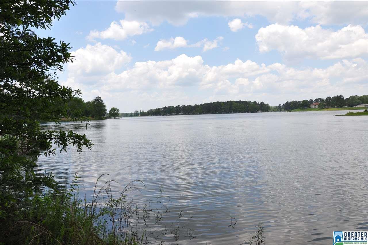 000 Blue Eye Rd - Photo 1