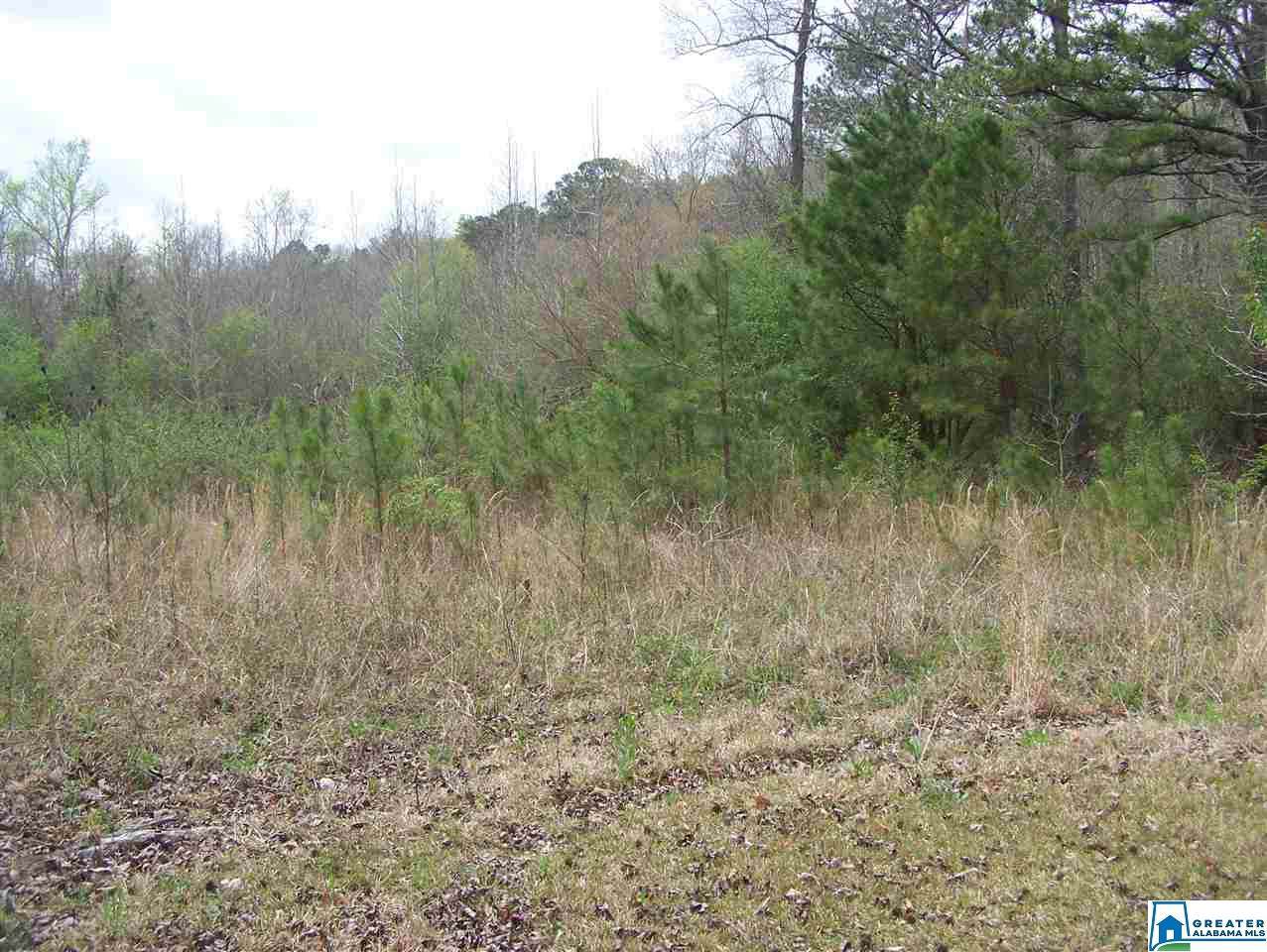 1101 Roberts Ln - Photo 1