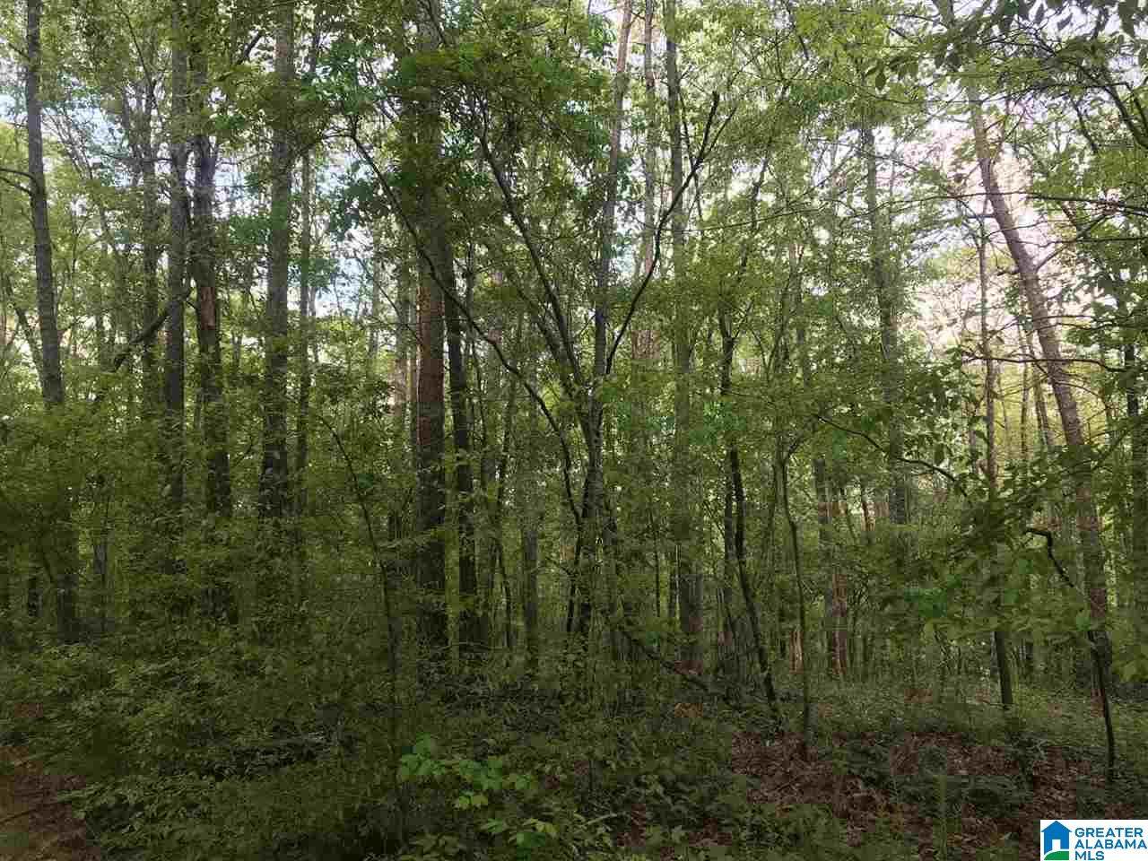 County Road 5801 - Photo 1