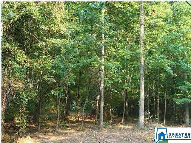 8317 Rouse Rd - Photo 1