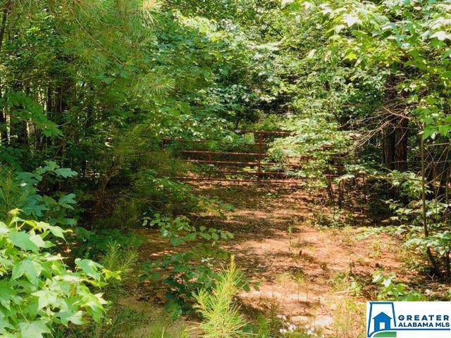 0 Co Rd 2501 - Photo 1