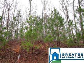 7996 Forest Loop - Photo 1