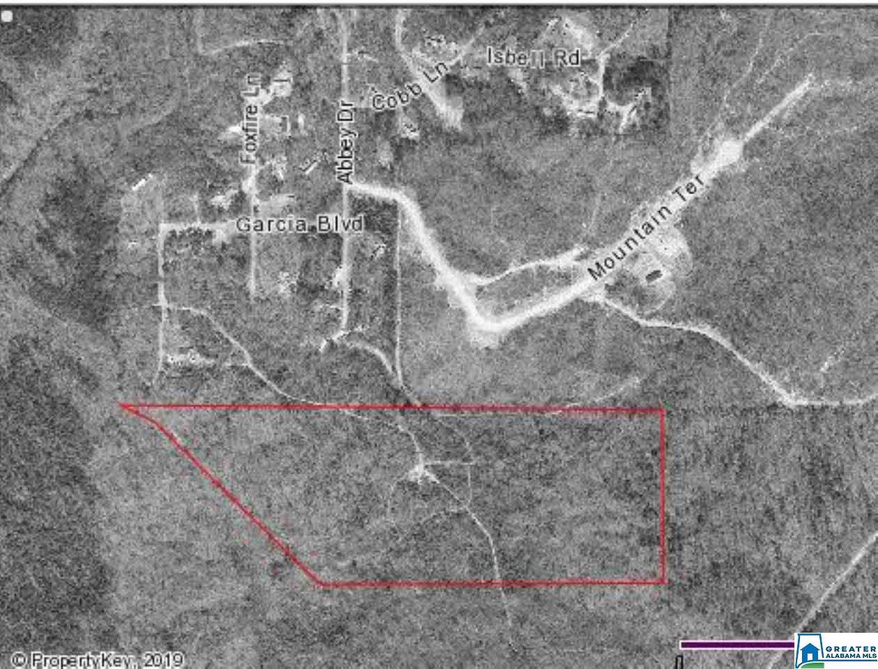 0 Foxfire Ln - Photo 1