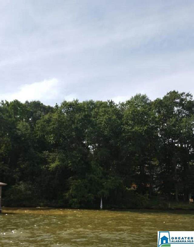 River Oaks Dr - Photo 1