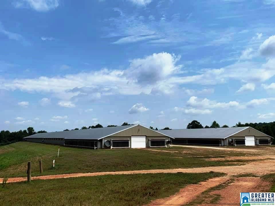 360 Co Rd 263 - Photo 1