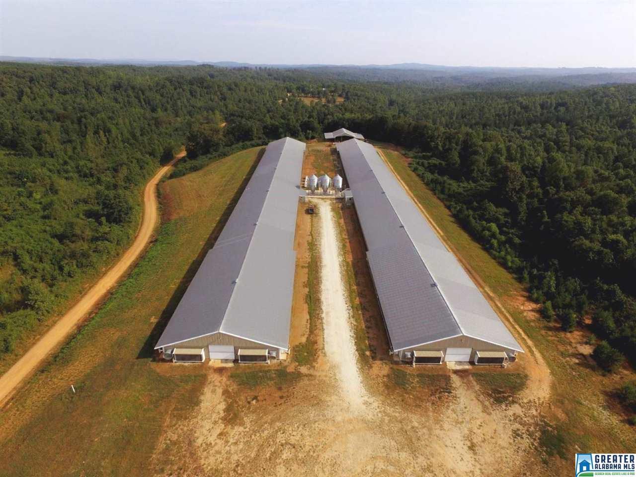 360 (22 acres) Co Rd 263 - Photo 1
