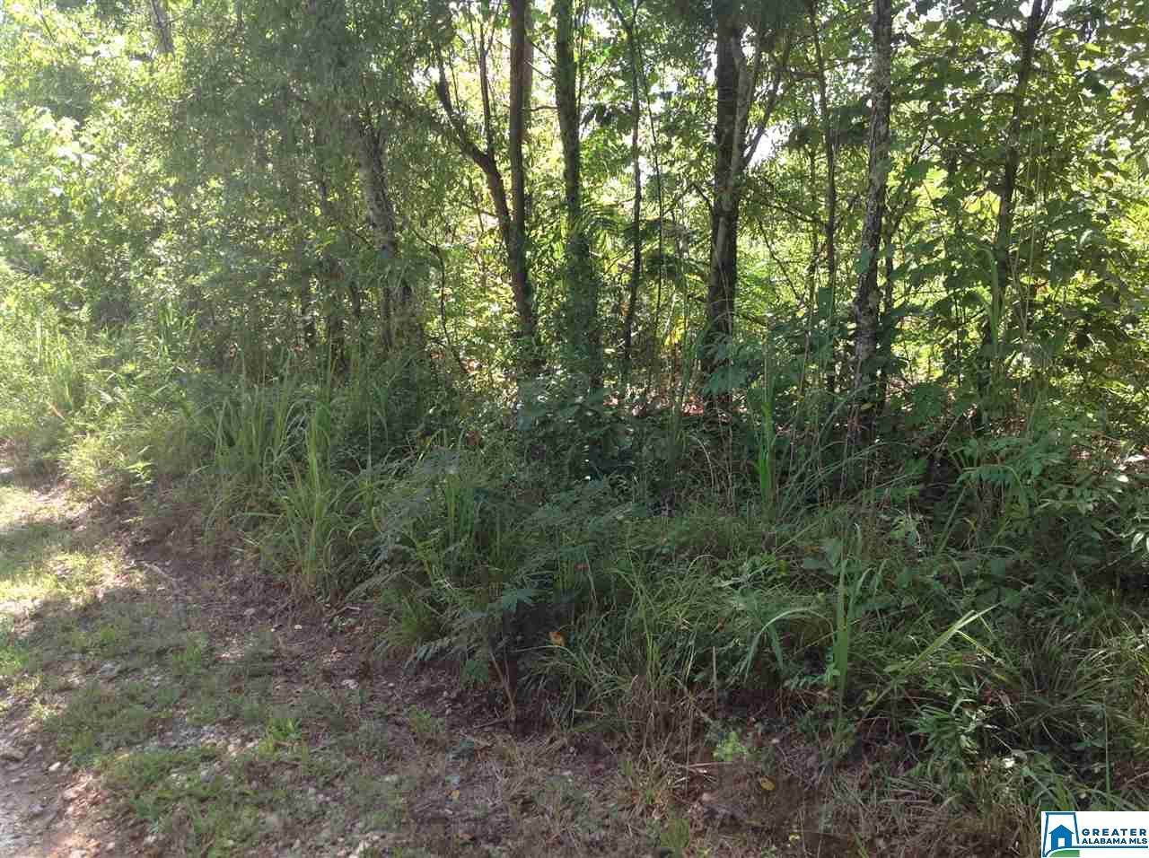 0 Williams Rd - Photo 1