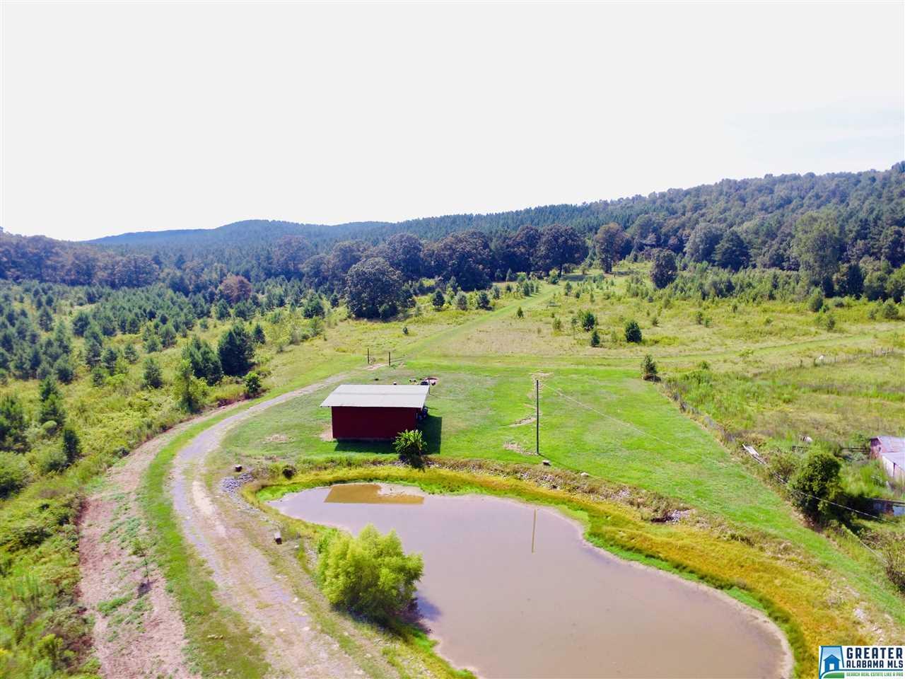 30917 Hwy 231 - Photo 1