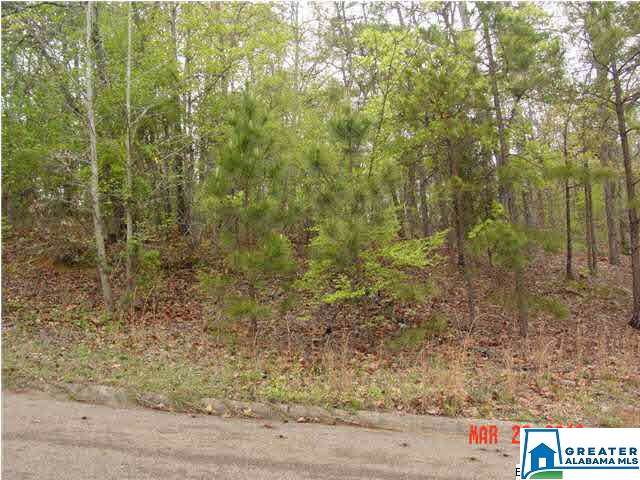 0 Timothy Dr - Photo 1 0 Timothy Dr - Photo 1