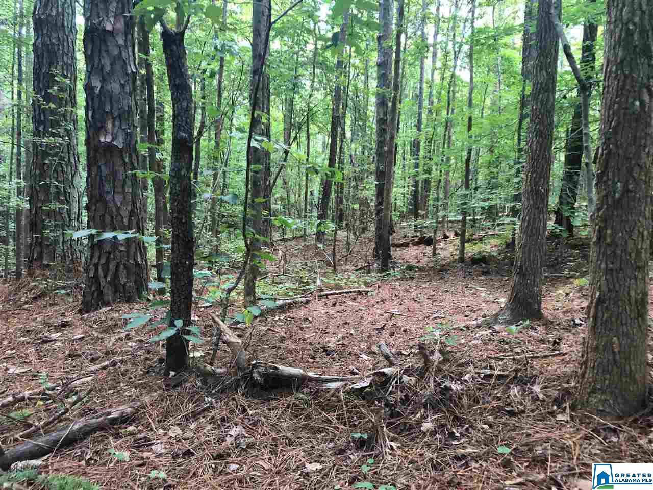 0 Co Rd 606 - Photo 1
