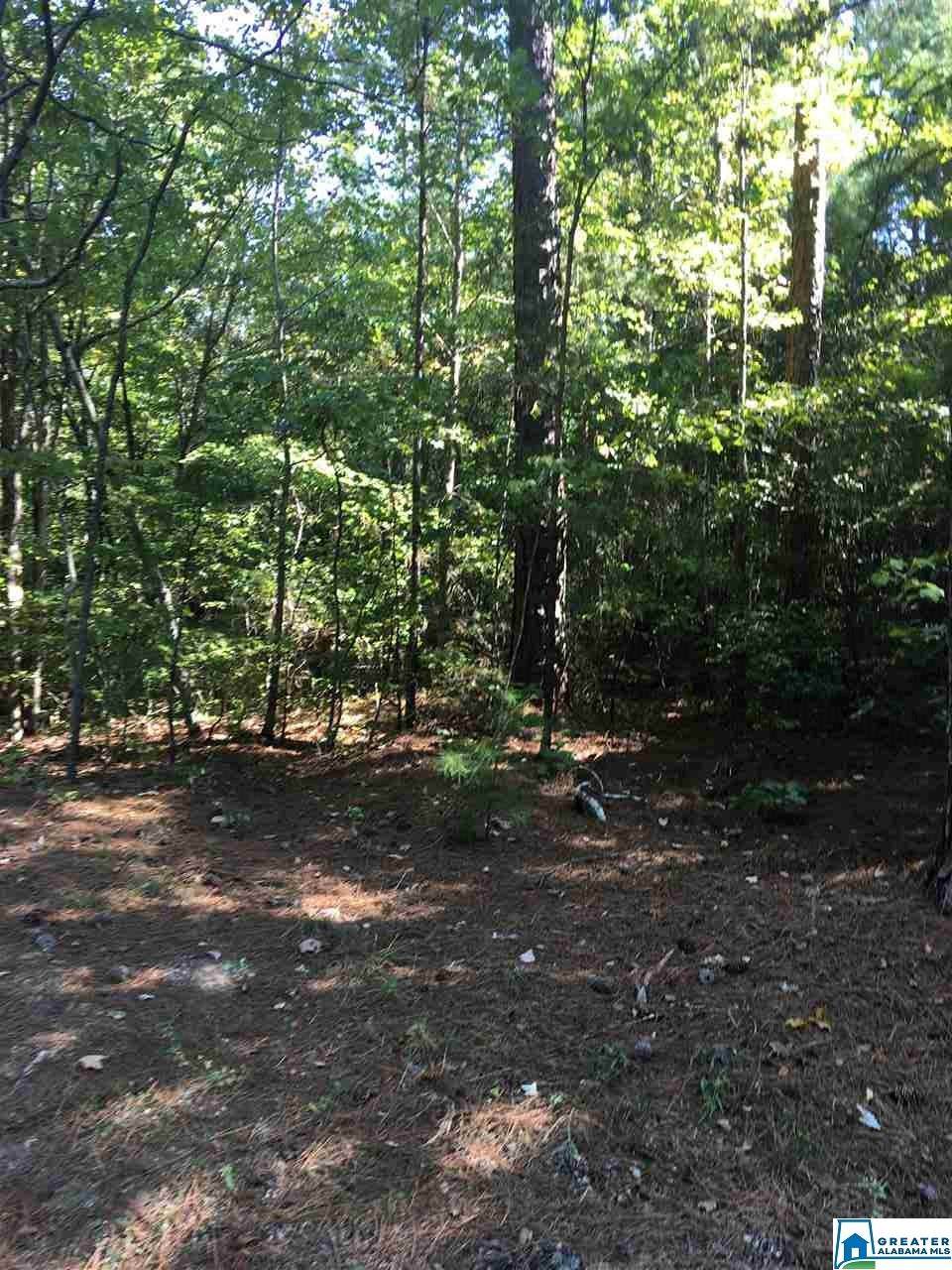0 Garrett Rd - Photo 1