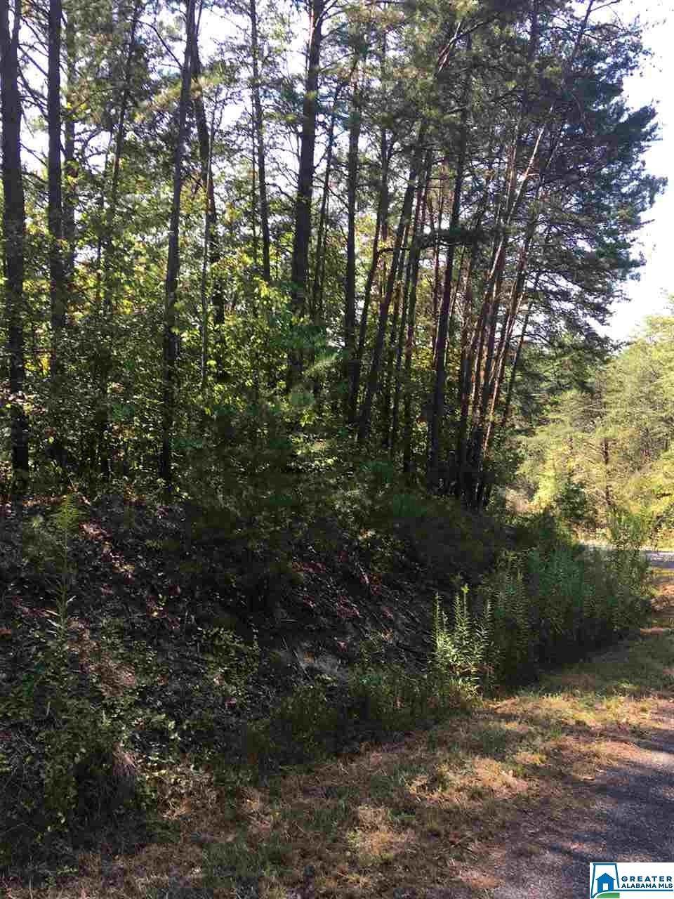 1451 Starview Dr - Photo 1