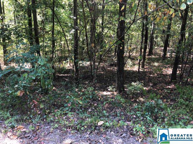 0 River Dr - Photo 1