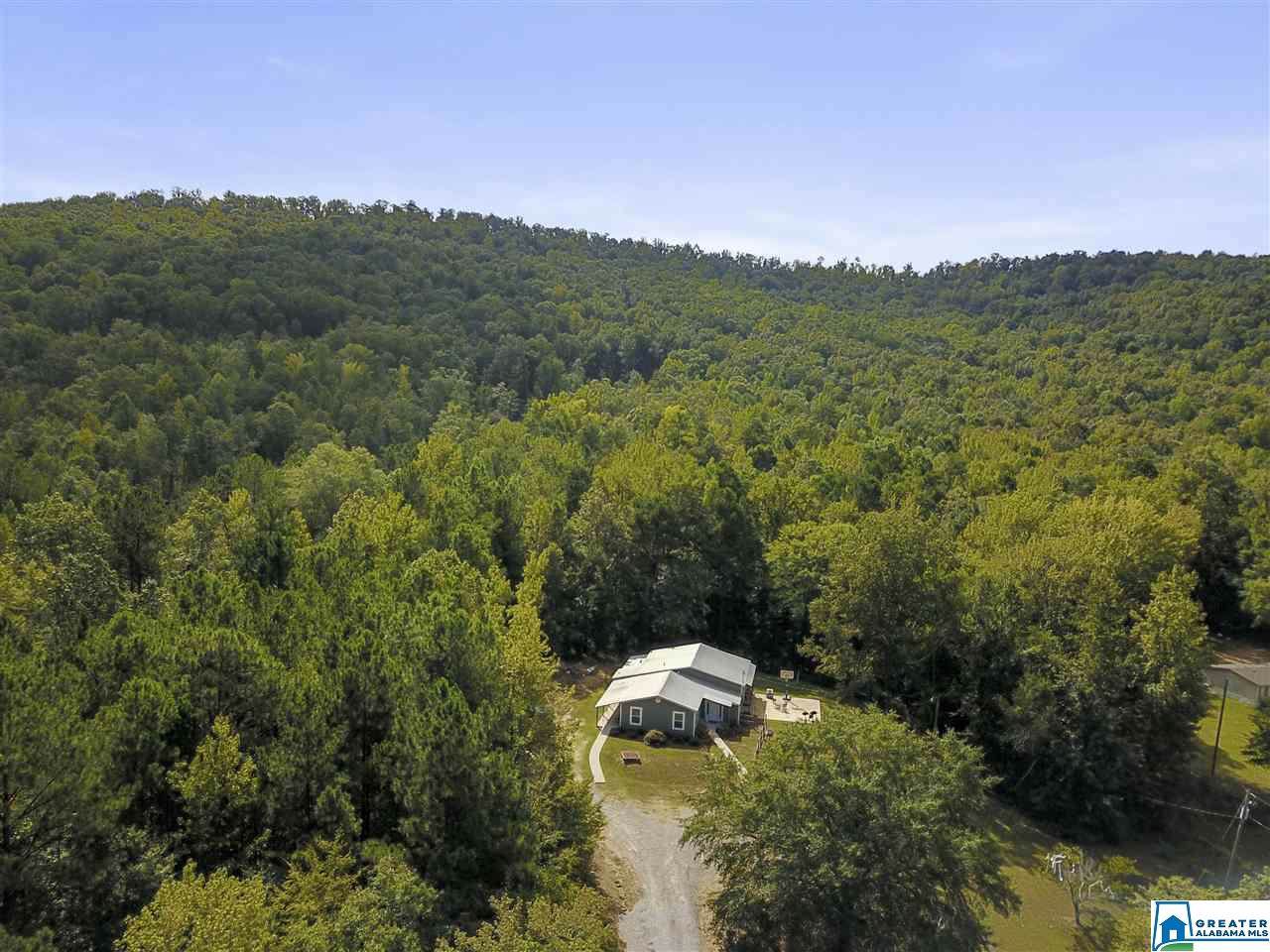 36224 Hwy 411 - Photo 1