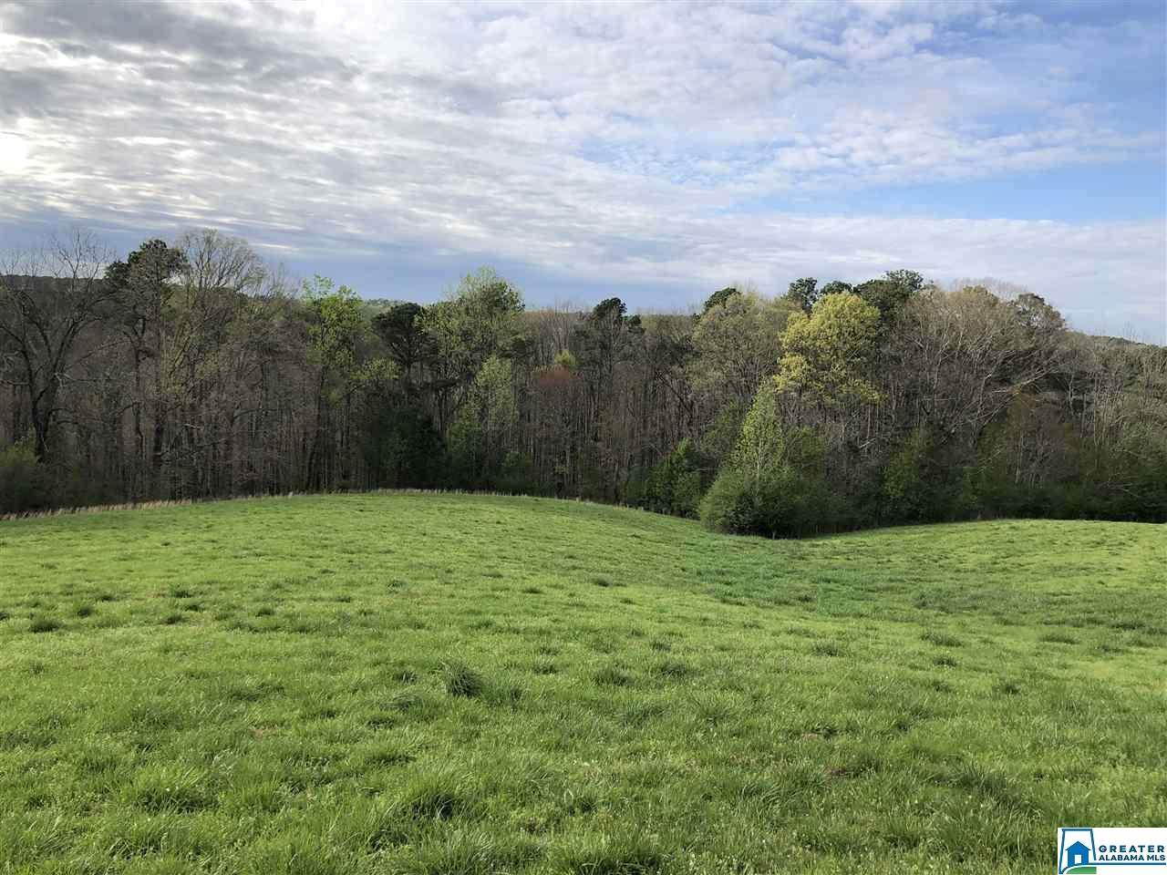 0 Runway Dr - Photo 1 0 Runway Dr - Photo 1