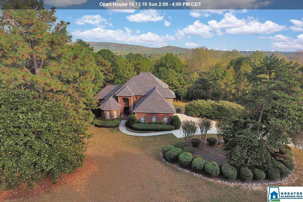 119 Swan Lake Cir - Photo 1