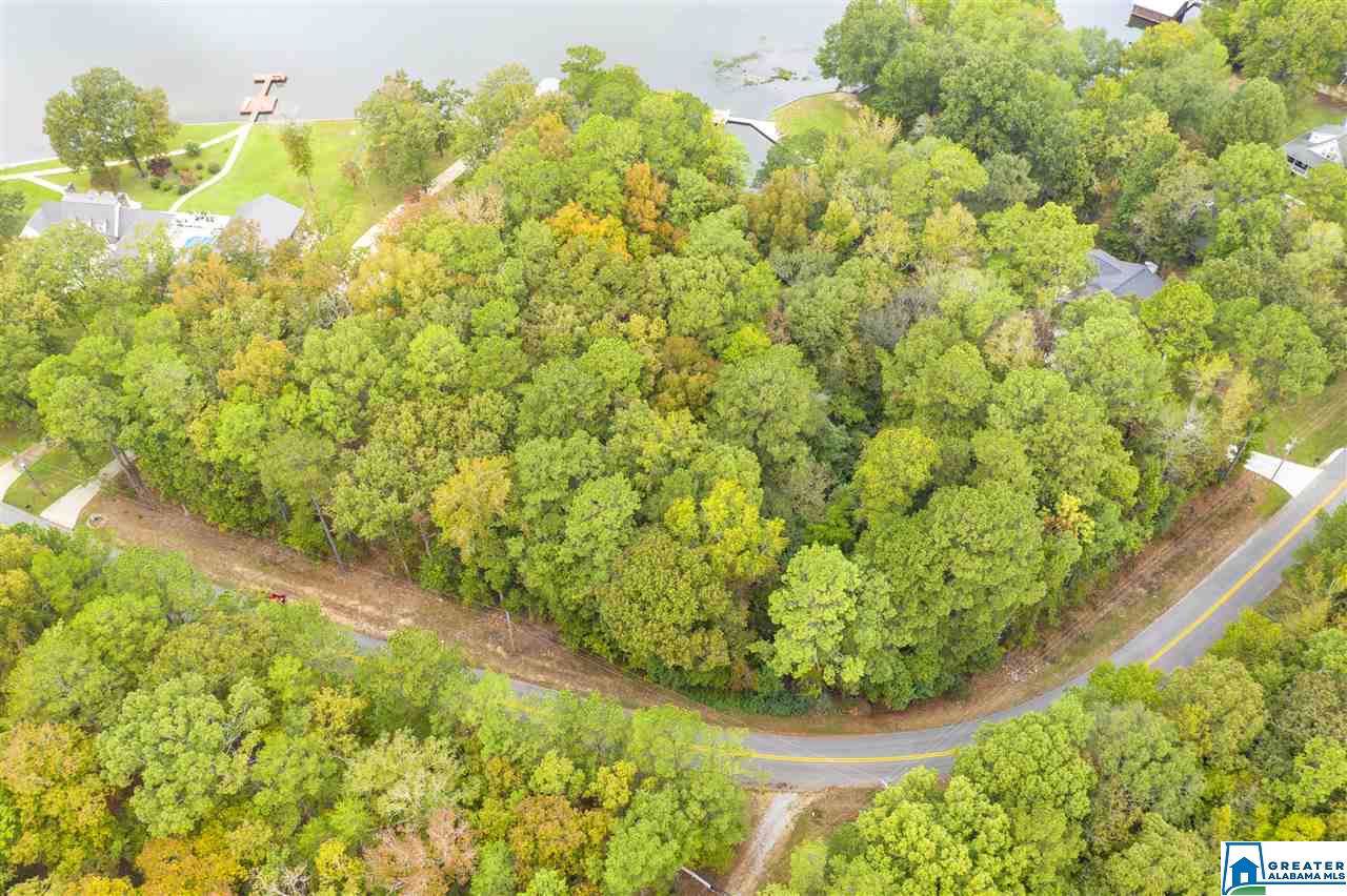 00 River Dr - Photo 1 00 River Dr - Photo 1