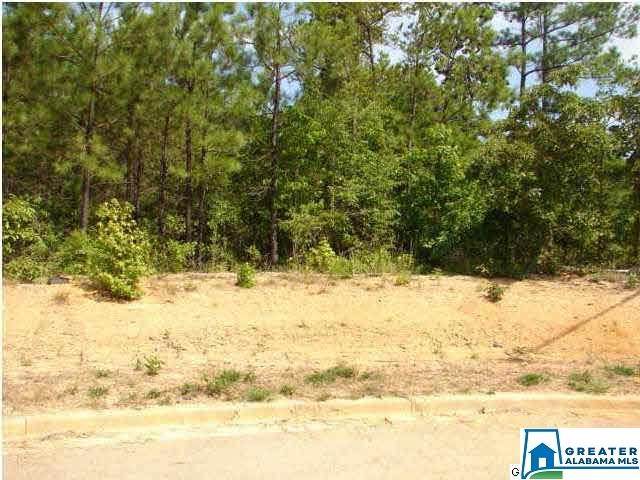 35 Stroud Cir - Photo 1 35 Stroud Cir - Photo 1