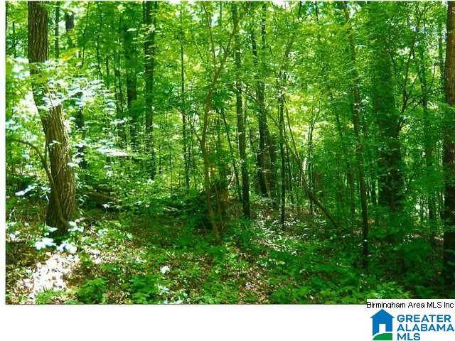 0 7TH AVENUE - Photo 1