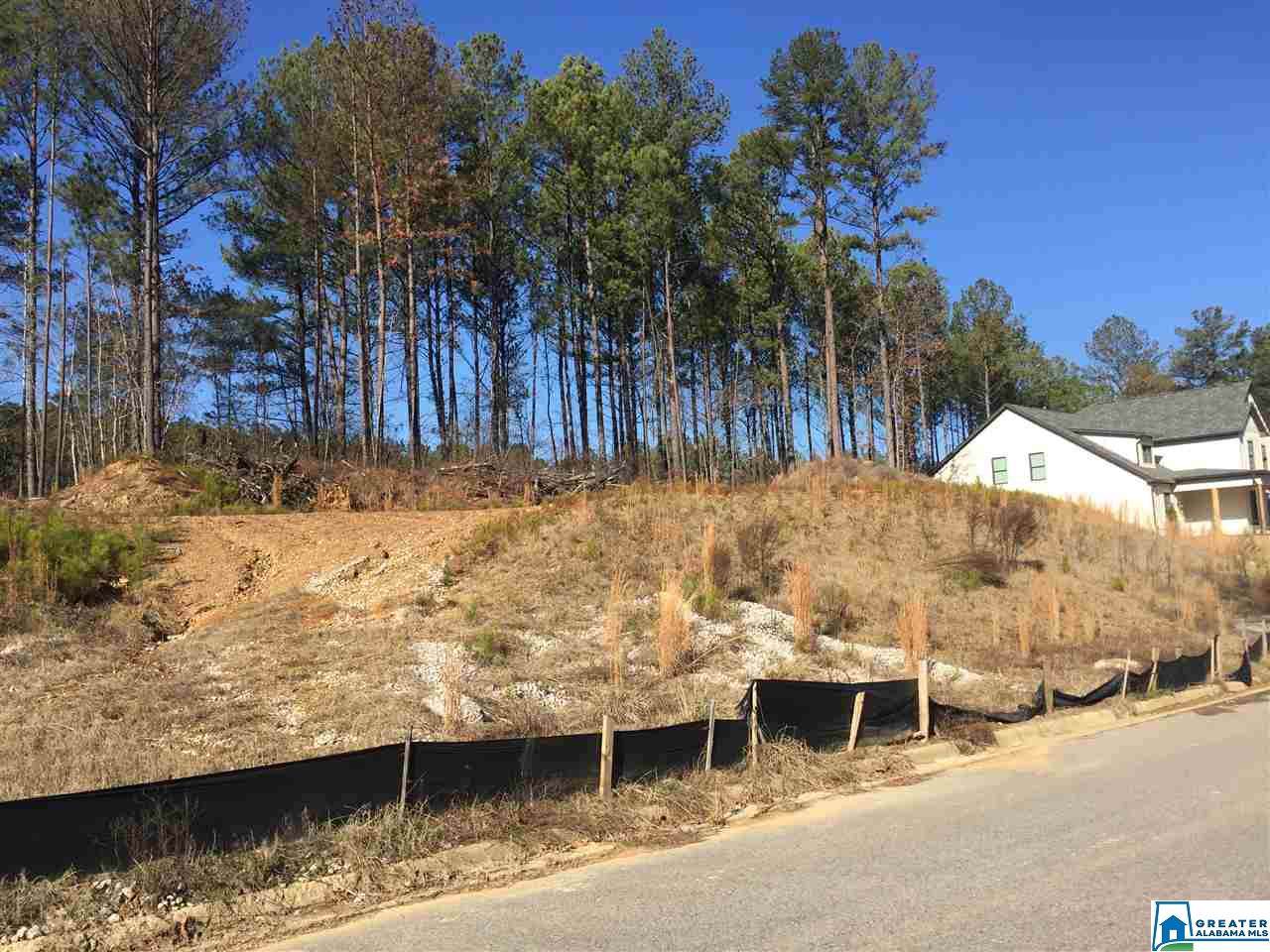338 Creekwater St - Photo 1