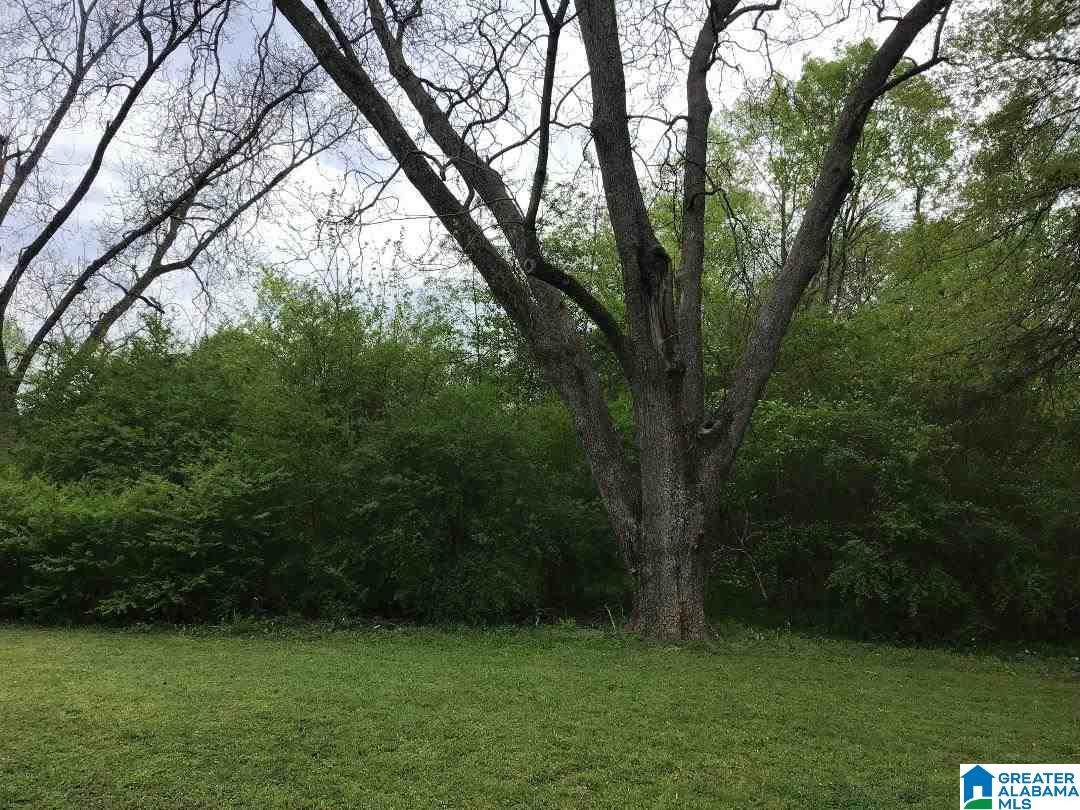 5940 Lawson Dr - Photo 1