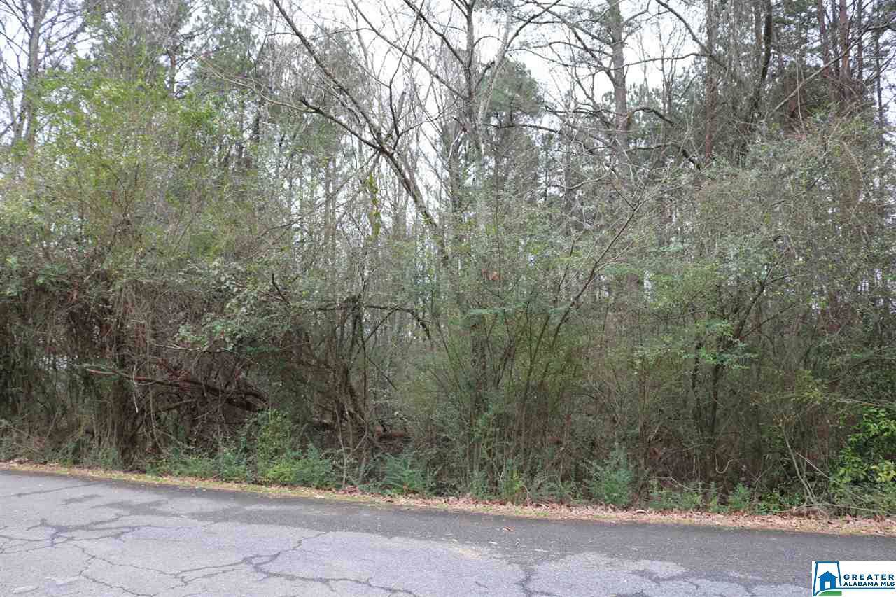 0 Charles Collier Ln - Photo 1