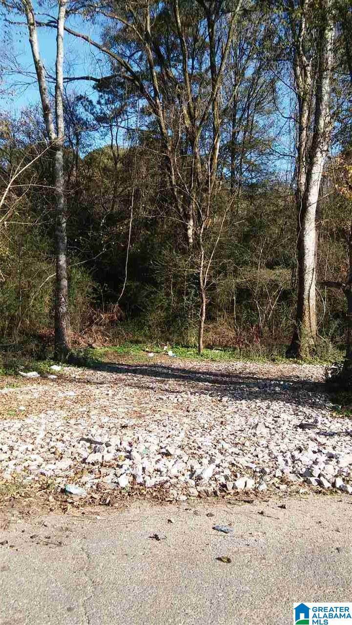 9603 Marshall Avenue - Photo 1