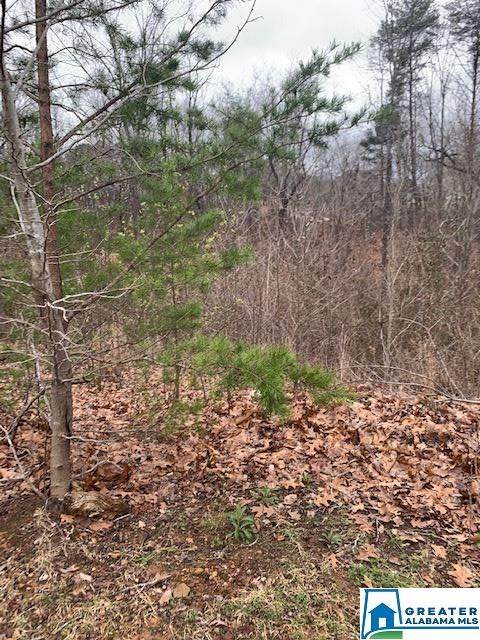 3048 Alan Shepard Dr - Photo 1