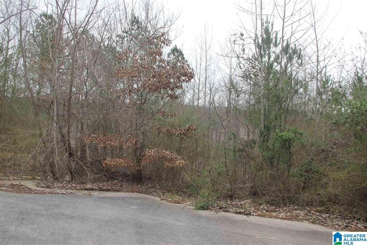 Crestview Pl - Photo 1