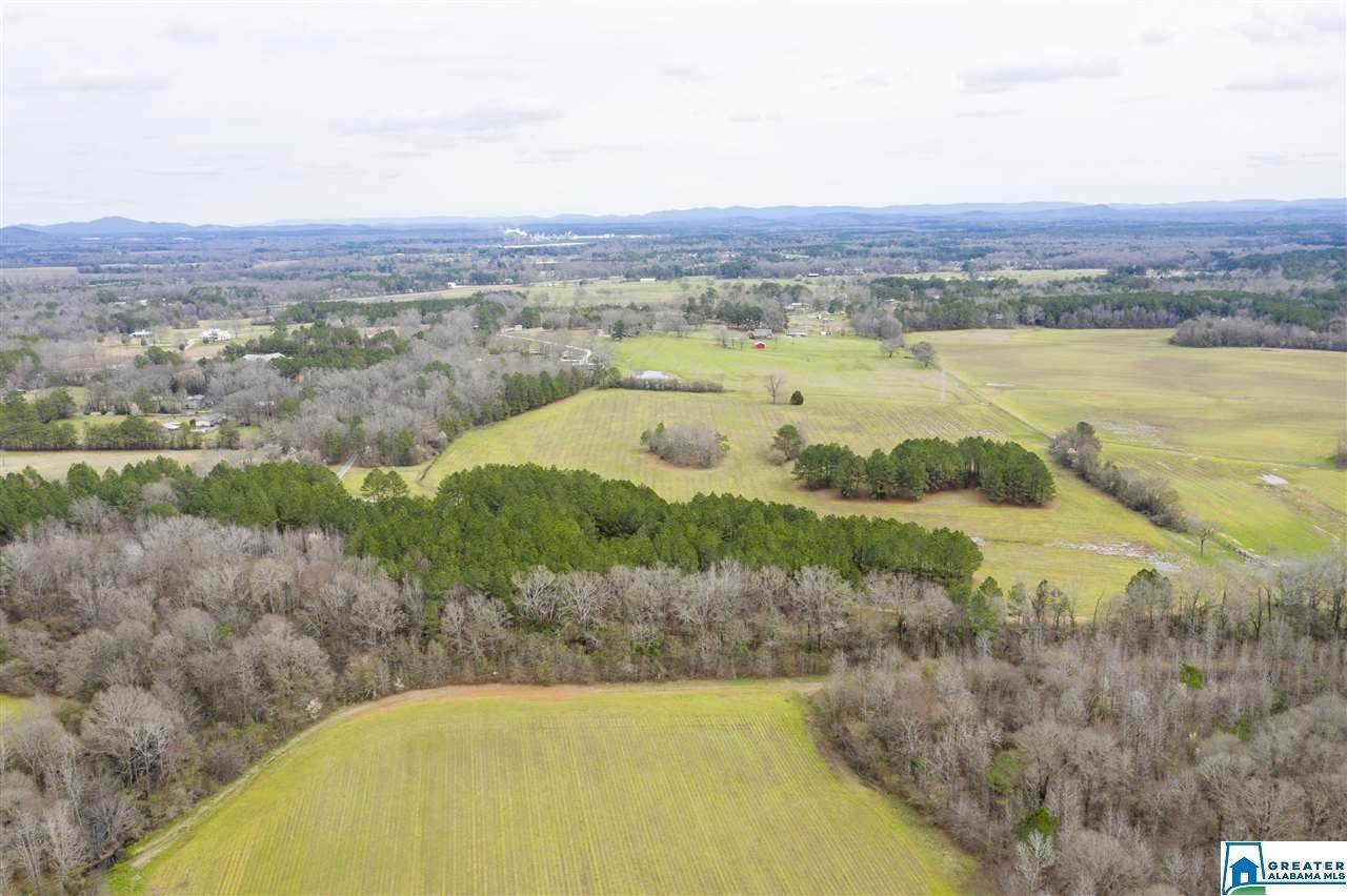 382 Homespun Hill - Photo 1