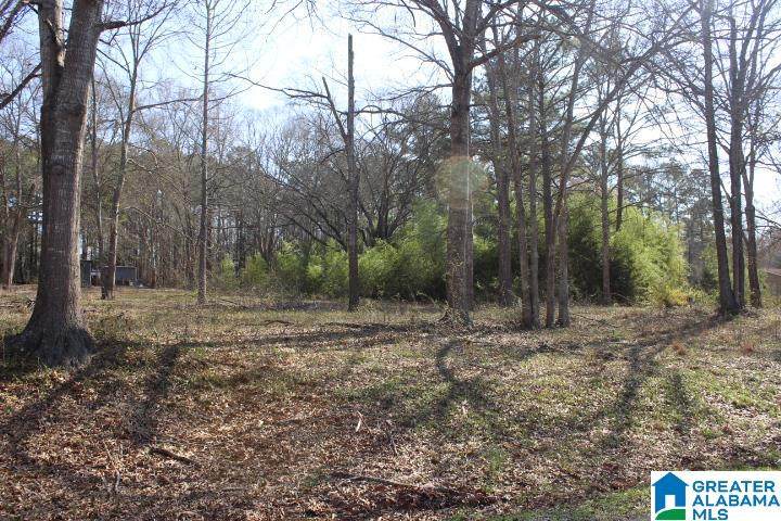 Cove Road - Photo 1