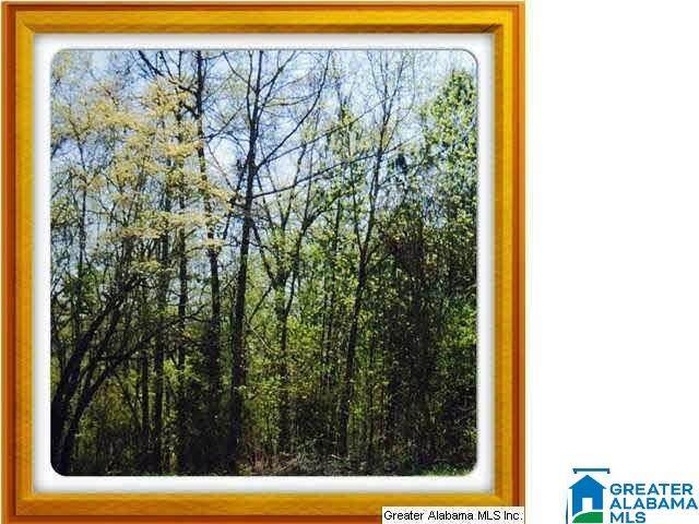 0 Autumn Ridge Trail - Photo 1