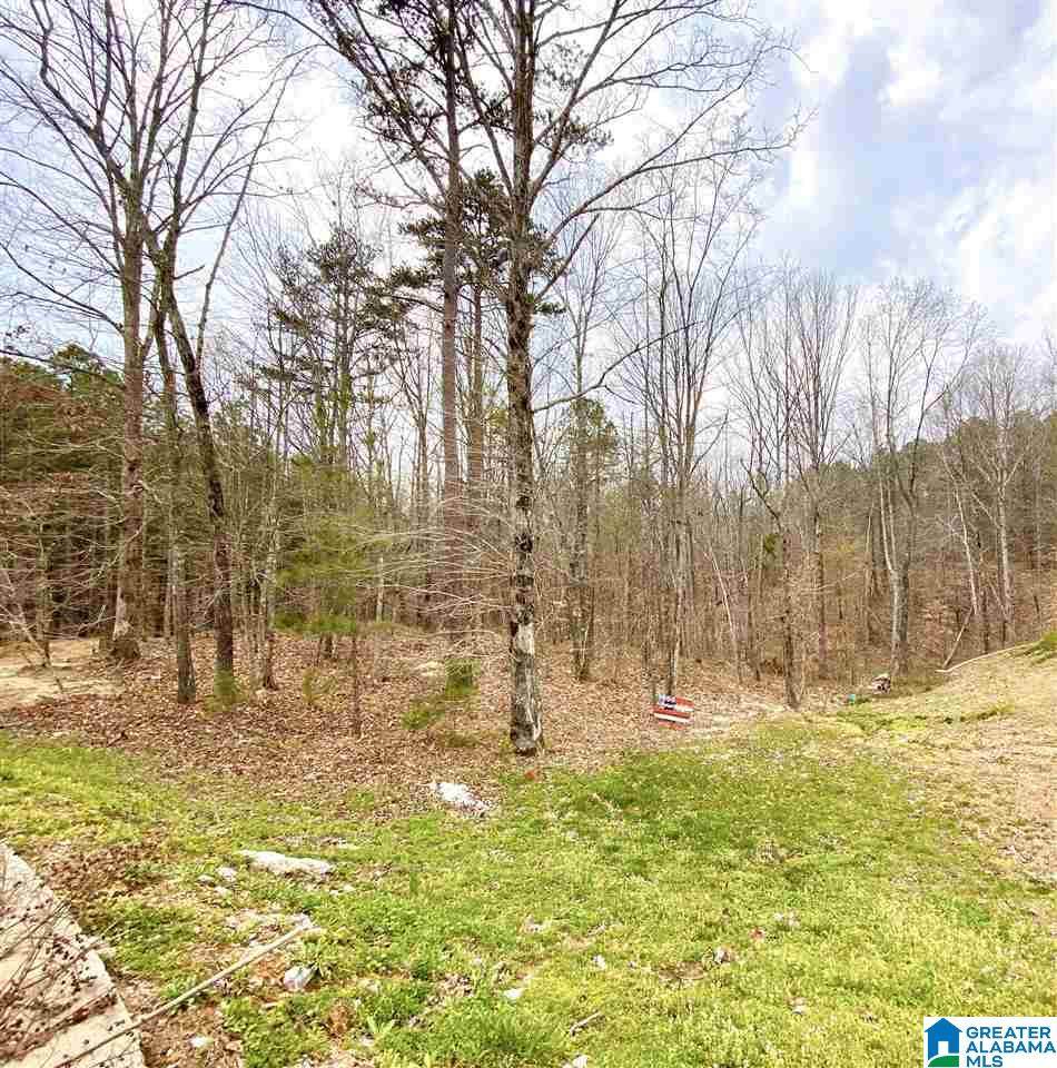 0 Karah Drive - Photo 1